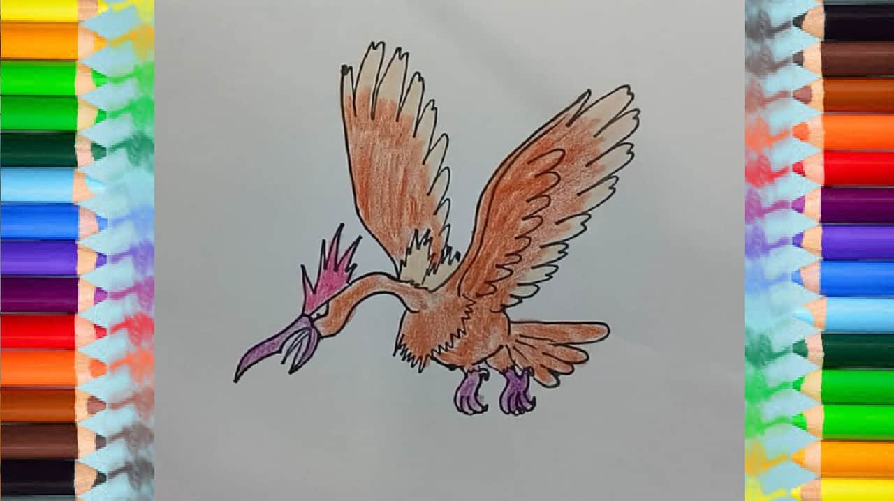 Pokemon drawing and coloring – How to draw Fearow from Pokemon