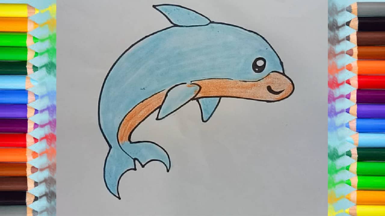 How to draw a cute dolphin easy step by step – Easy animals to draw