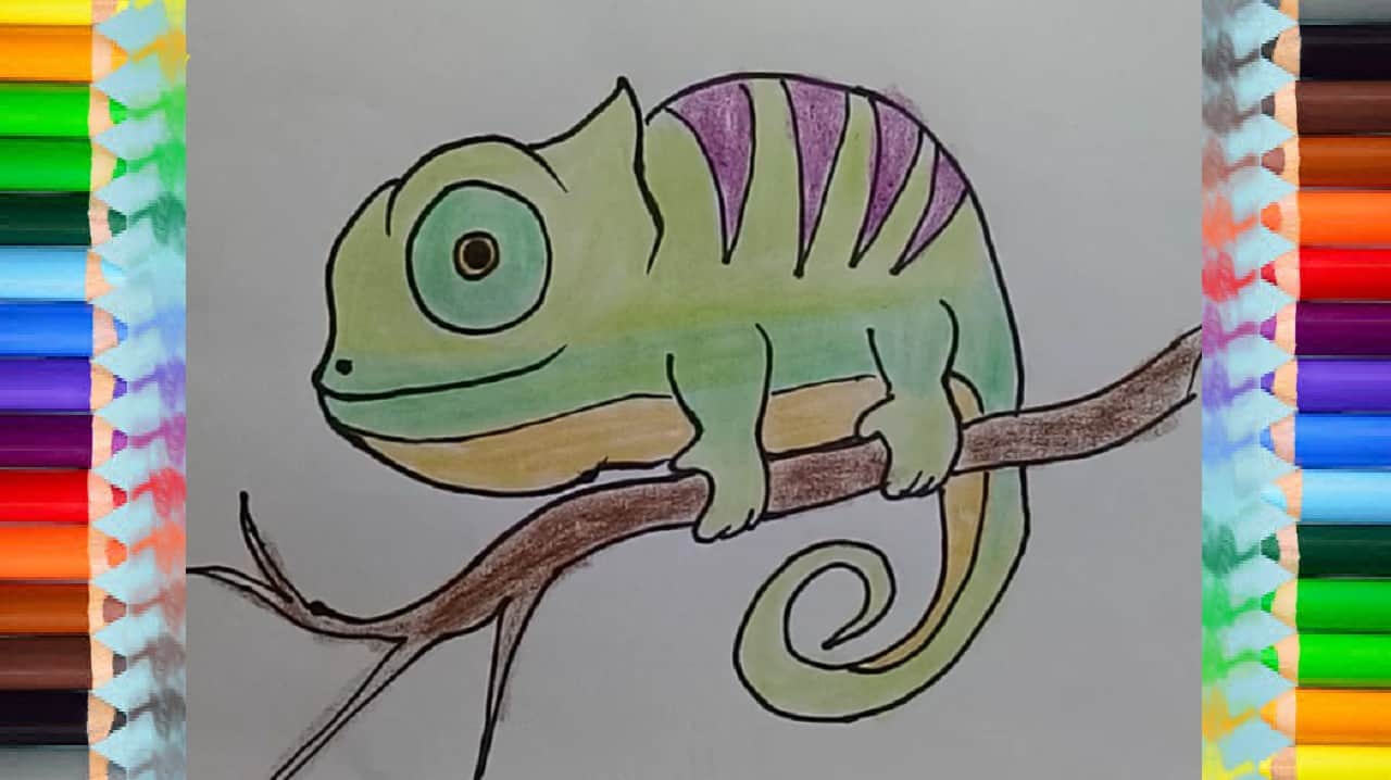 How to Draw a Chameleon step by step