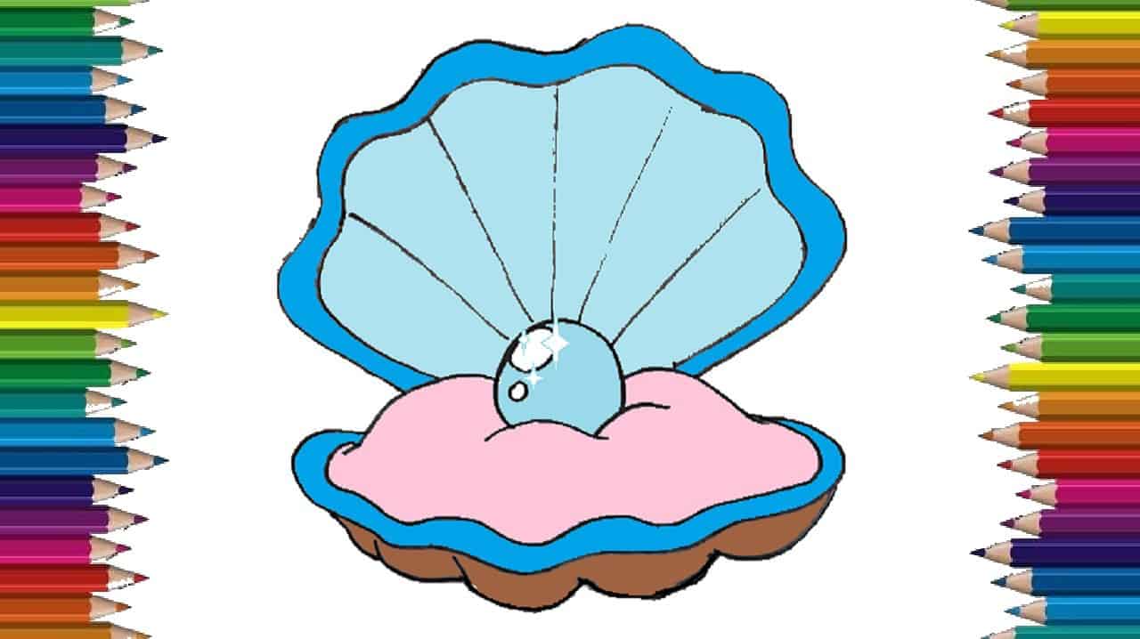 How to Draw an Oyster with a pearl Step by Step