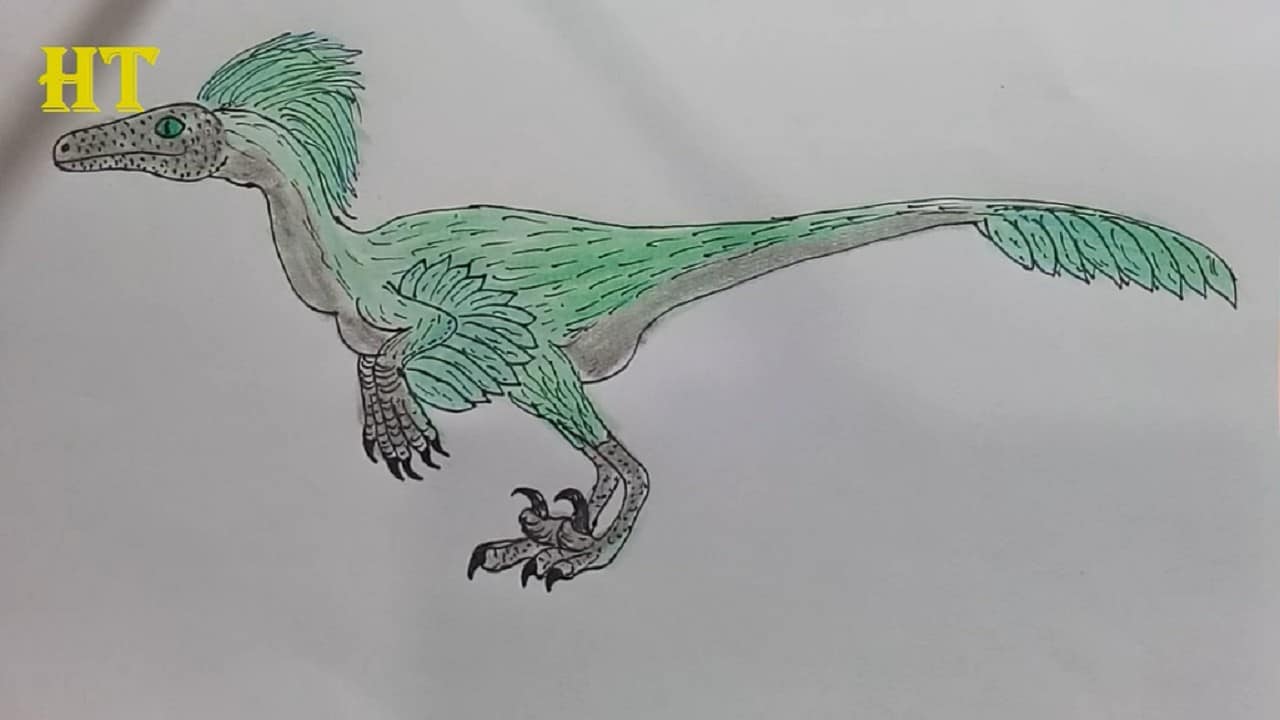 How to draw a Deinonychus – Dinosaur drawing and coloring