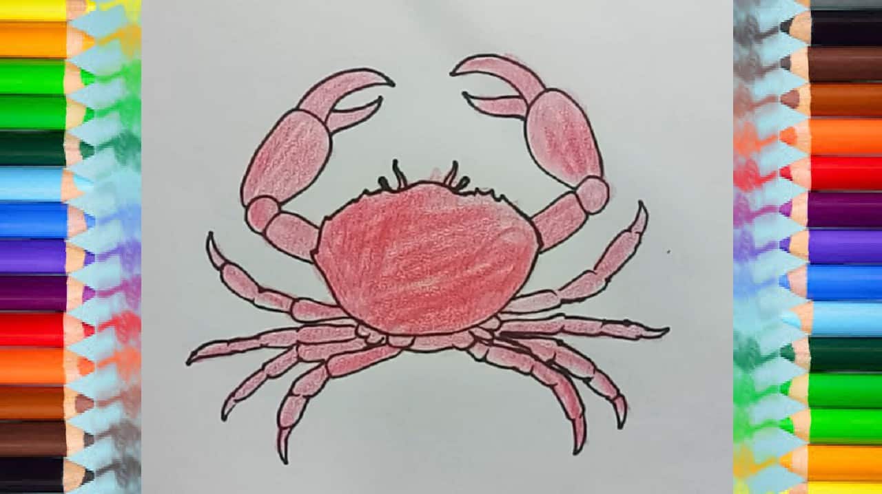 How to Draw a Crab step by step | Easy animals to draw