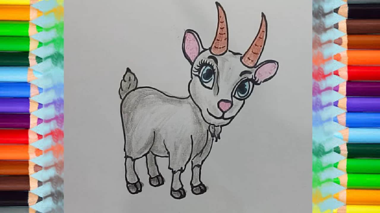 How to draw a Goat cute and easy step by step