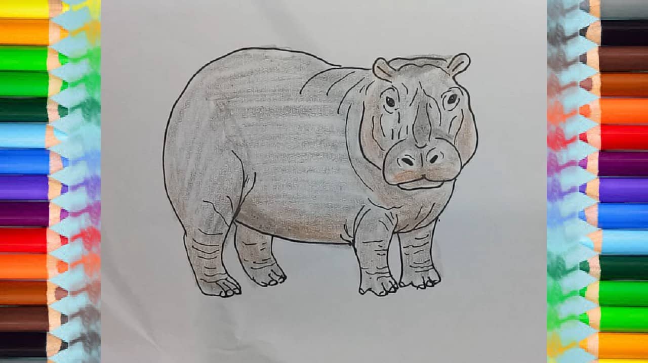 How to Draw a Hippopotamus – HTdraw