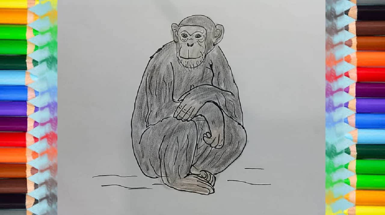 How to Draw a Chimpanzee step by step | Easy animals to draw