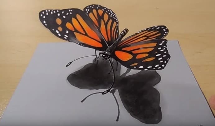 how to draw a butterfly 3D – 3D Drawing Butterfly