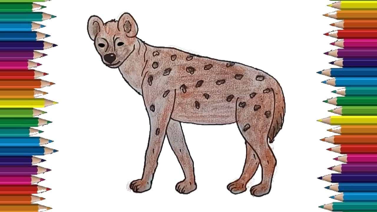 How to draw a Hyena step by step easy | easy animals to draw