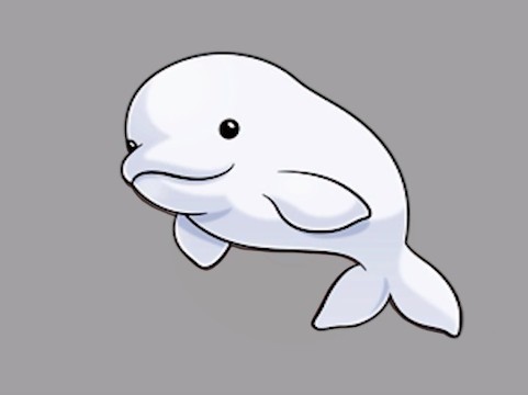 How to draw a beluga whale step by step easy  – Easy animals to draw