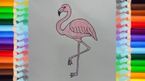 How to Draw a Flamingo step by step easy