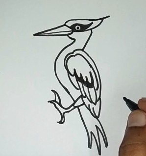 Woodpecker Drawing step by step