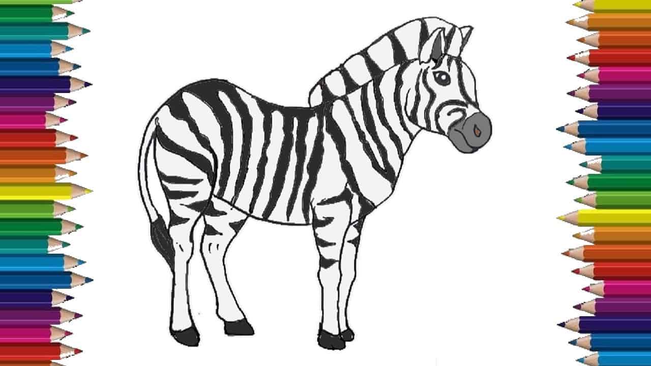 How to draw a zebra step by step – Easy animals to draw