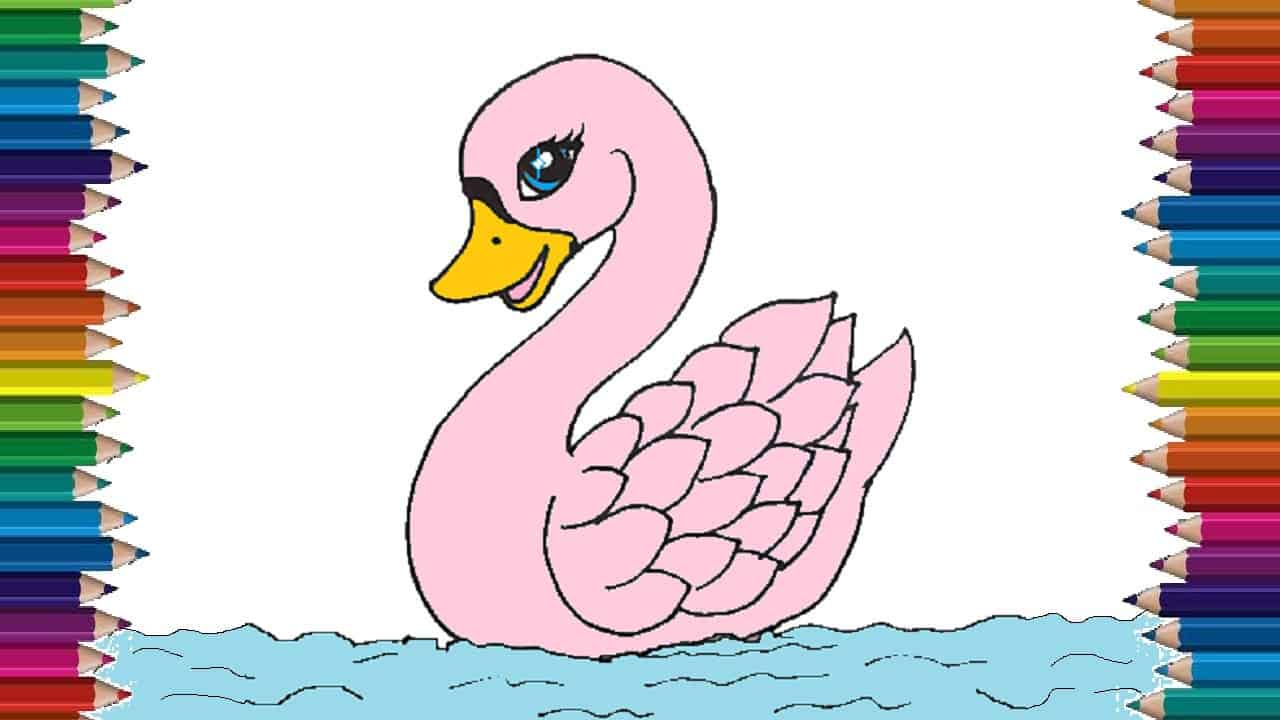 How to draw a cute swan step by step