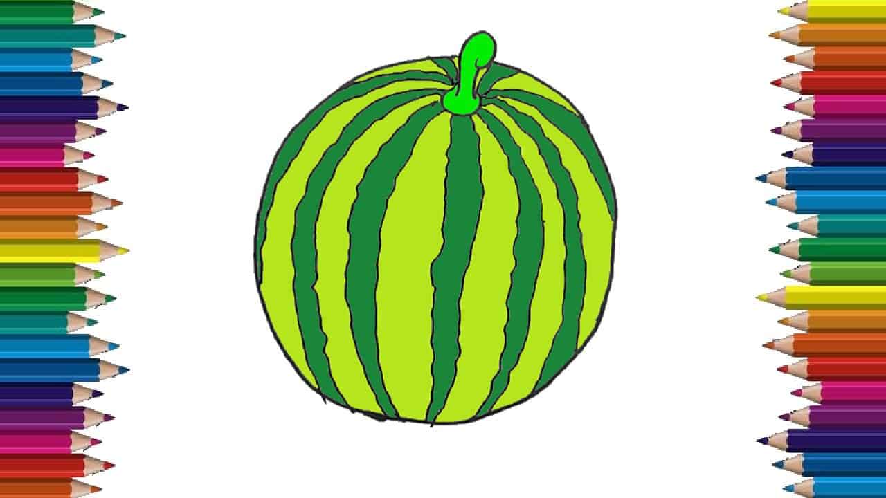 How to draw a watermelon step by step – Fruits drawing and coloring