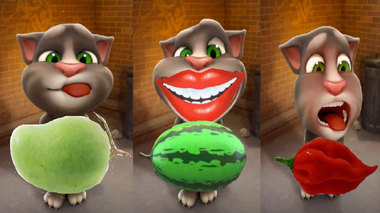 My Talking tom cat, how to draw fruits, chilli,watermelon, banana and Mangoes
