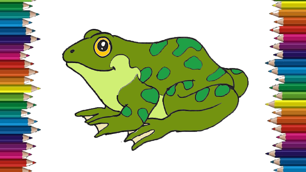 How to draw a Frog step by step – Cute Frog drawing easy