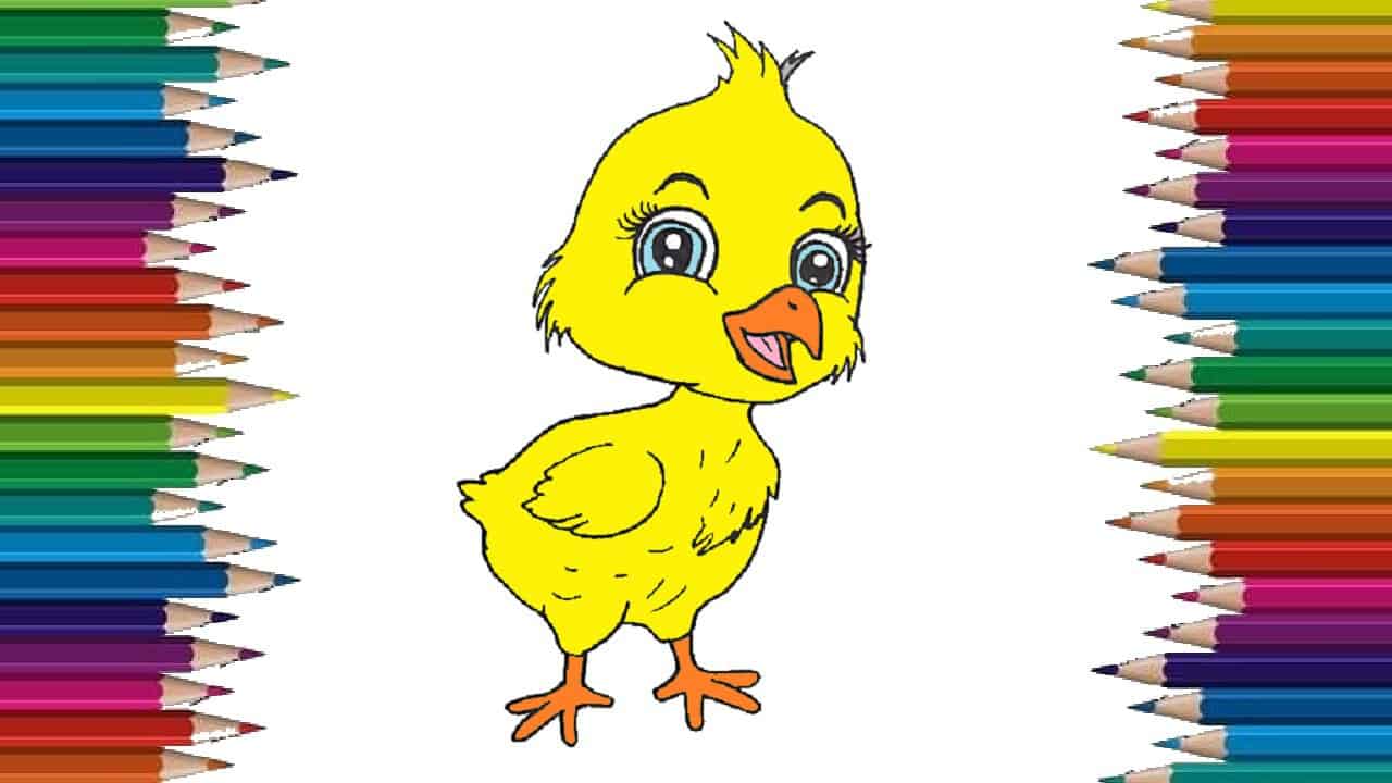 How to draw a baby chick cute and easy – Cartoon chicken drawing step by step