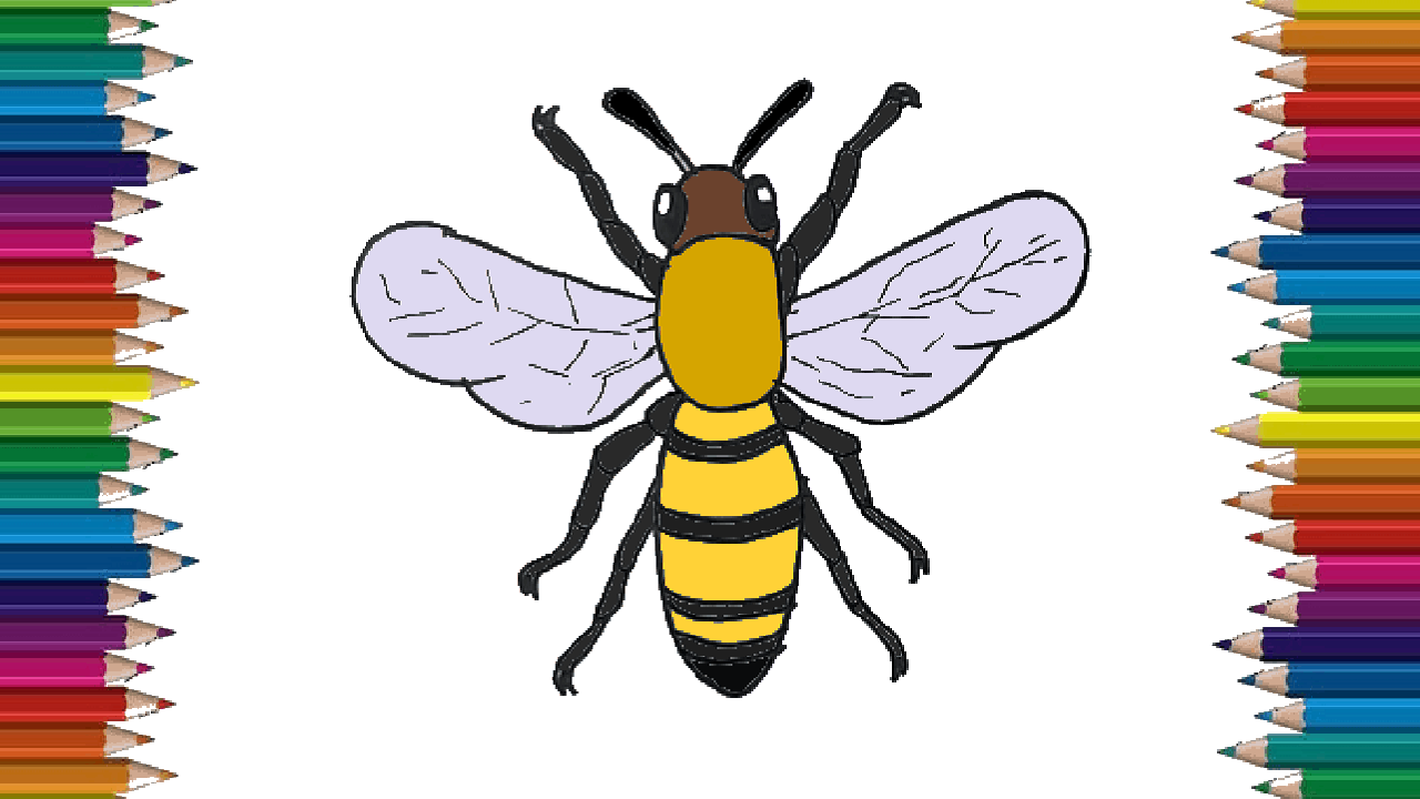How to draw a bee step by step – Bee drawing and coloring for kids