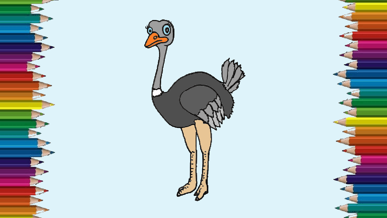 How to draw an Ostrich cute and easy – Cartoon Ostrich drawing for beginners