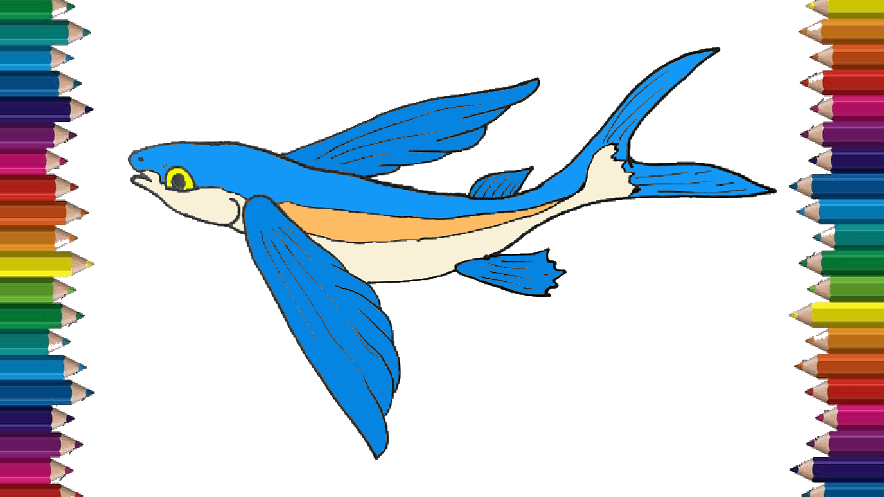 How to draw a flying fish step by step – Cartoon Fish drawing easy for beginners