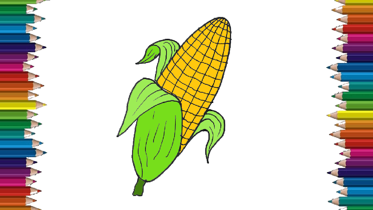 How to draw a roasted corn easy – roasted corn drawing and coloring for Beginners