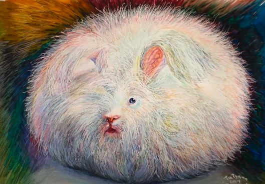 How to Draw an Angora Rabbit step by step