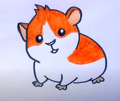 How to Draw a Golden Hamster step by step