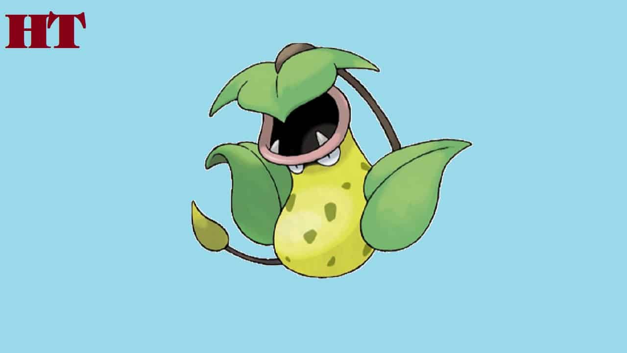 How to draw victreebel from pokemon step by step