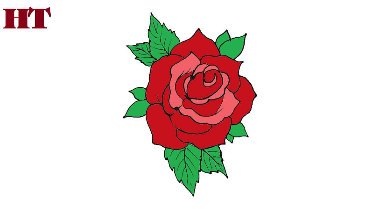 How to draw a rose tattoo step by step
