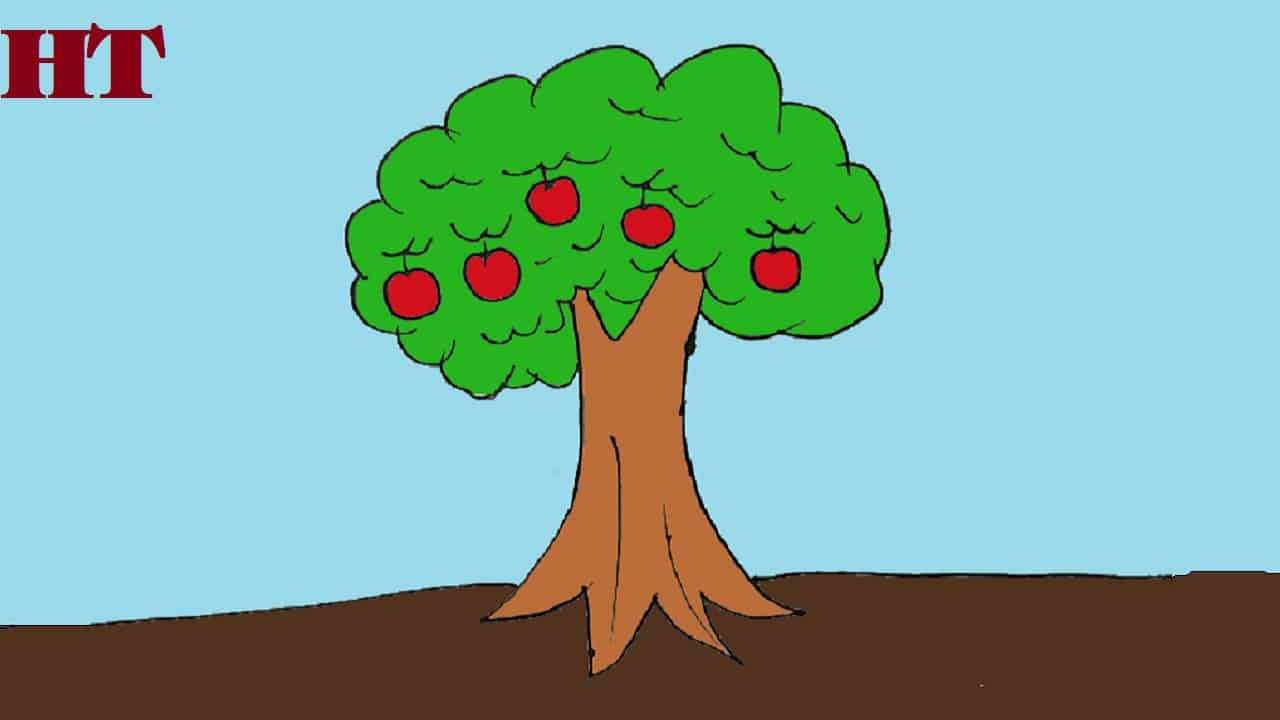 How to draw apple tree step by step