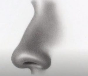 How to Draw a Nose From The Side by pencil