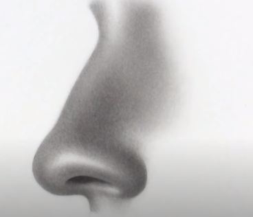 How to Draw a Nose From The Side by pencil