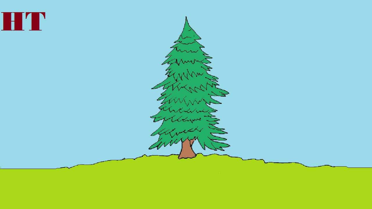 How to draw a pine tree step by step