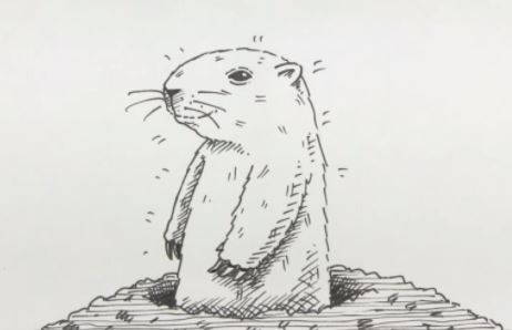 How to Draw a Groundhog step by step