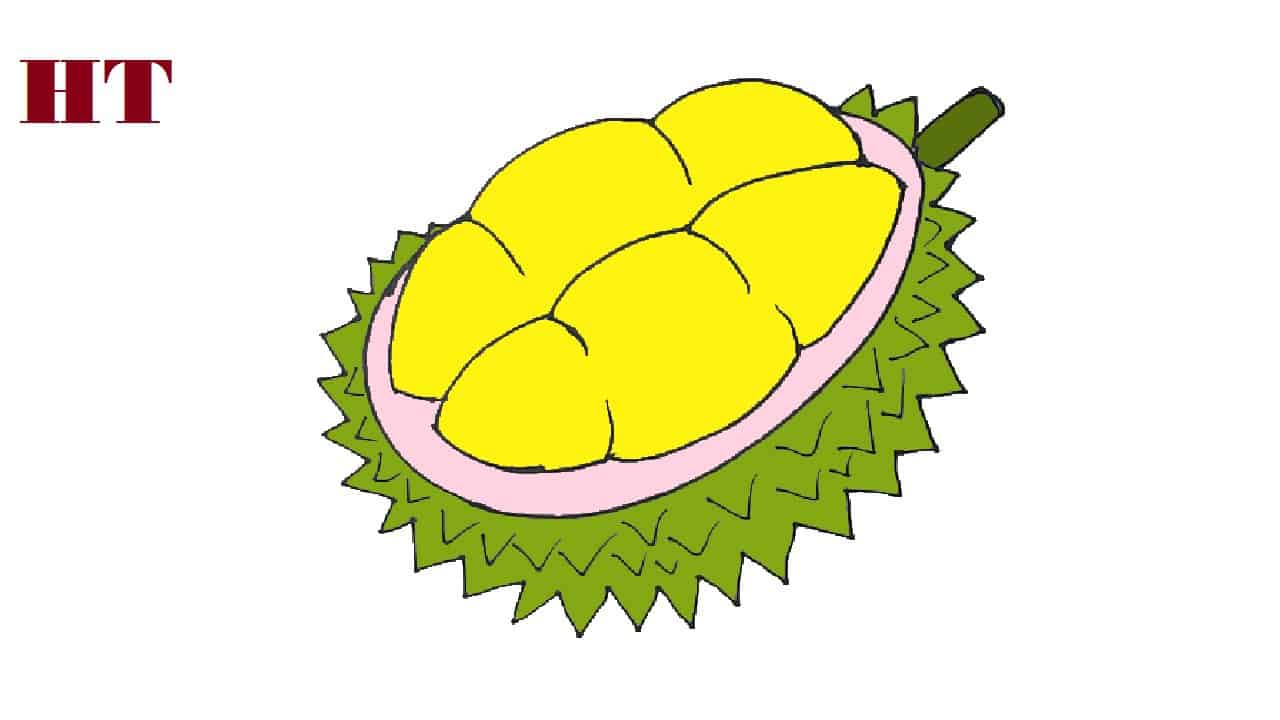 How to draw durian fruit step by step