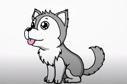 How to Draw a Husky step by step || Dog drawing easy for beginners