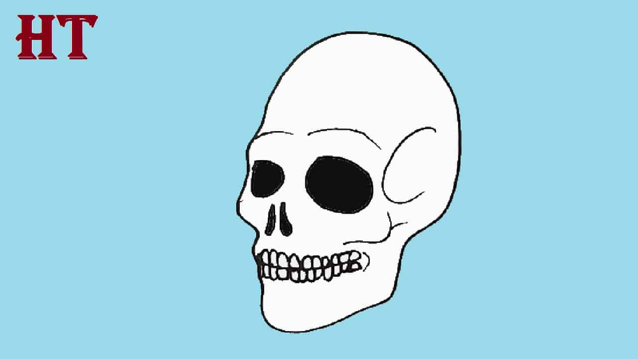 How to draw a skull step by step