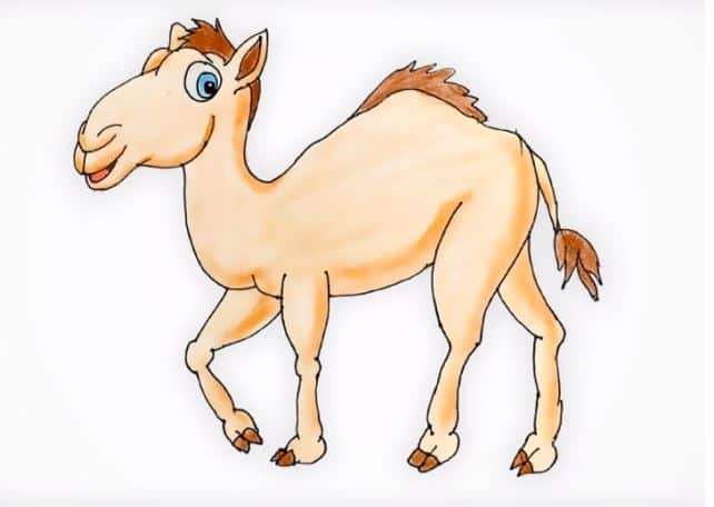 Cartoon Camel Drawing Step by Step for Beginners
