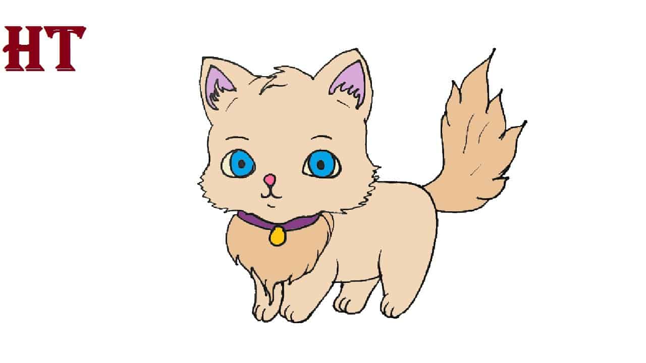 Cute Cat Drawing Step By Step Easy For Beginners