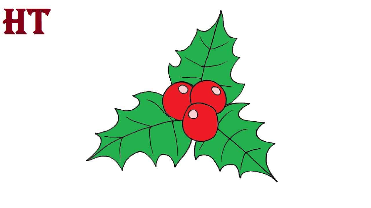 How to Draw a Holly Step By Step  || Mistletoe Fruit Drawing Easy