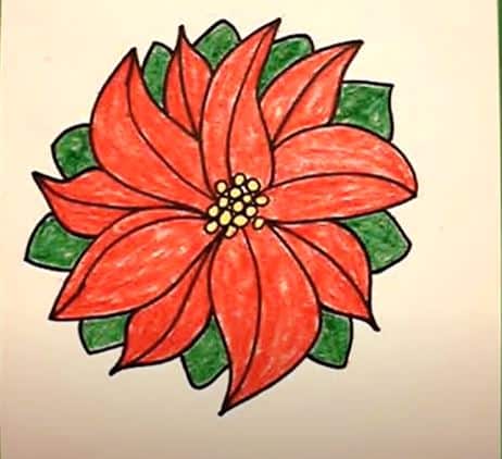 How to Draw a Poinsettia Step By Step
