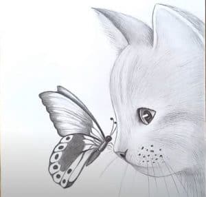 How to draw a cat and butterfly