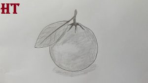 Orange Drawing with Pencil