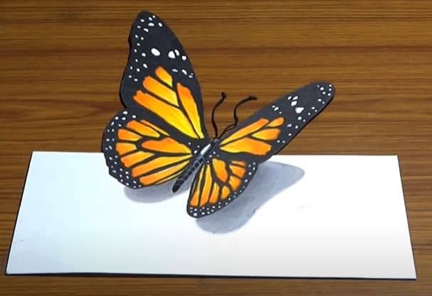 Butterfly Drawing | How to draw a 3D Butterfly Step by Step