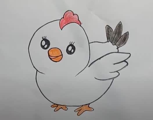 Chicken Drawing easy for kids – How to draw a Chicken