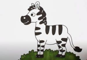 How to Draw a Cartoon Zebra Step by Step