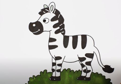 How to Draw a Cartoon Zebra Step by Step