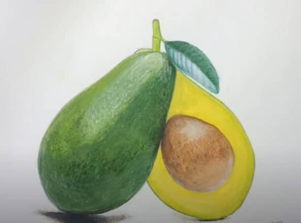 How to Draw an Avocado with pencil Step by Step – Fruit Drawings for Beginners