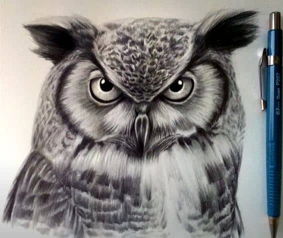 How to Draw an Owl Face Step by Step || Bird Drawing