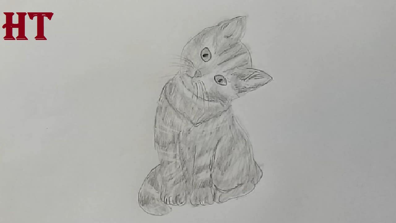 Cat Drawing with Pencil Step by Step