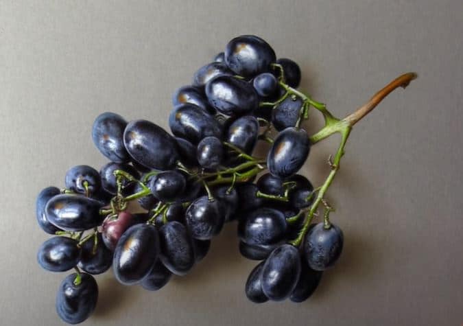 Realistic Grapes Drawing Step by Step – 3D Fruit Drawings with Pencil